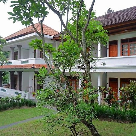 Argasoka Bungalows Ubud Eksteriør billede