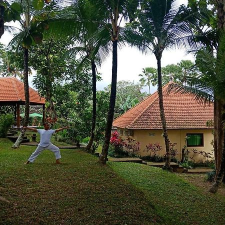 Argasoka Bungalows Ubud Eksteriør billede