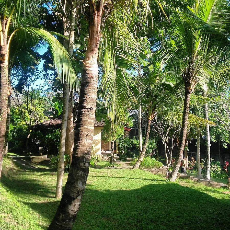 Argasoka Bungalows Ubud Eksteriør billede