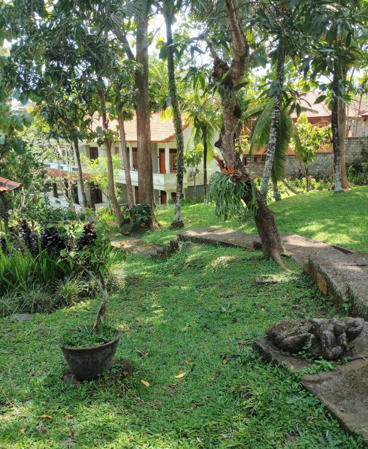 Argasoka Bungalows Ubud Eksteriør billede