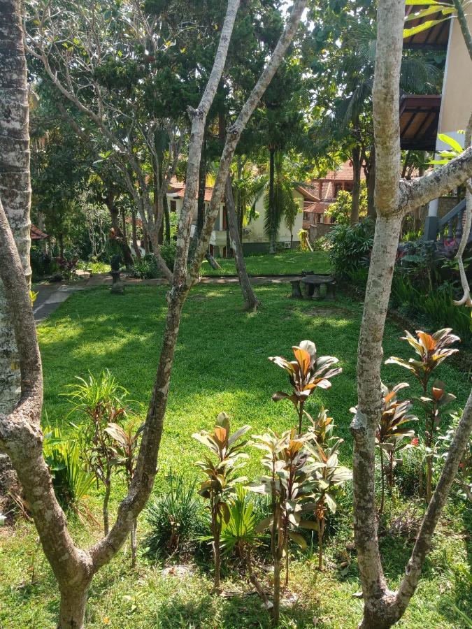 Argasoka Bungalows Ubud Eksteriør billede