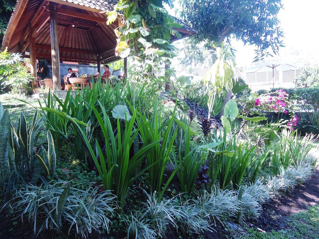 Argasoka Bungalows Ubud Eksteriør billede