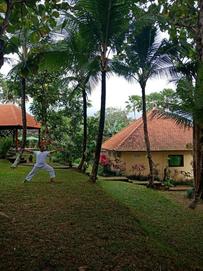 Argasoka Bungalows Ubud Eksteriør billede