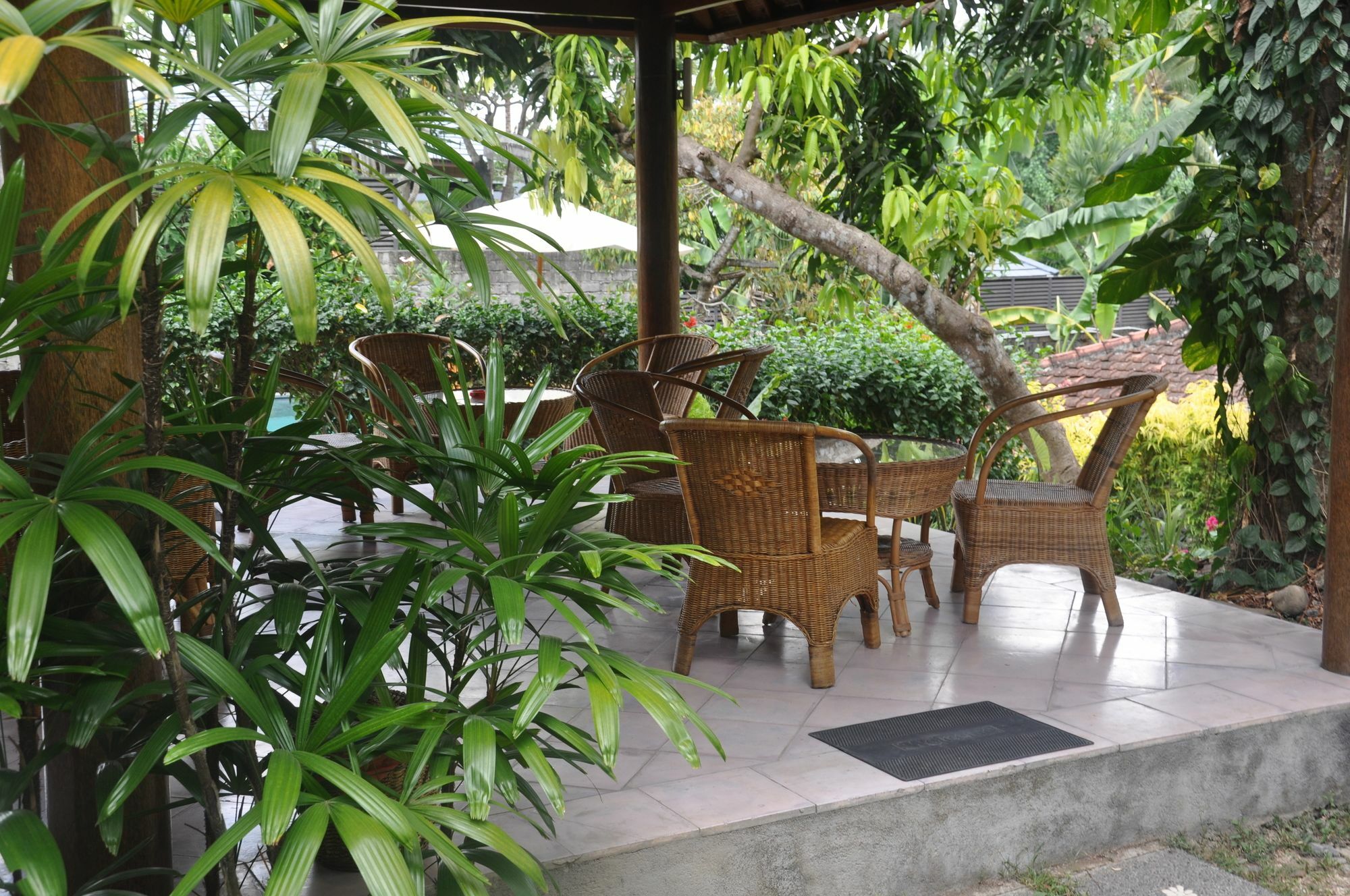 Argasoka Bungalows Ubud Eksteriør billede