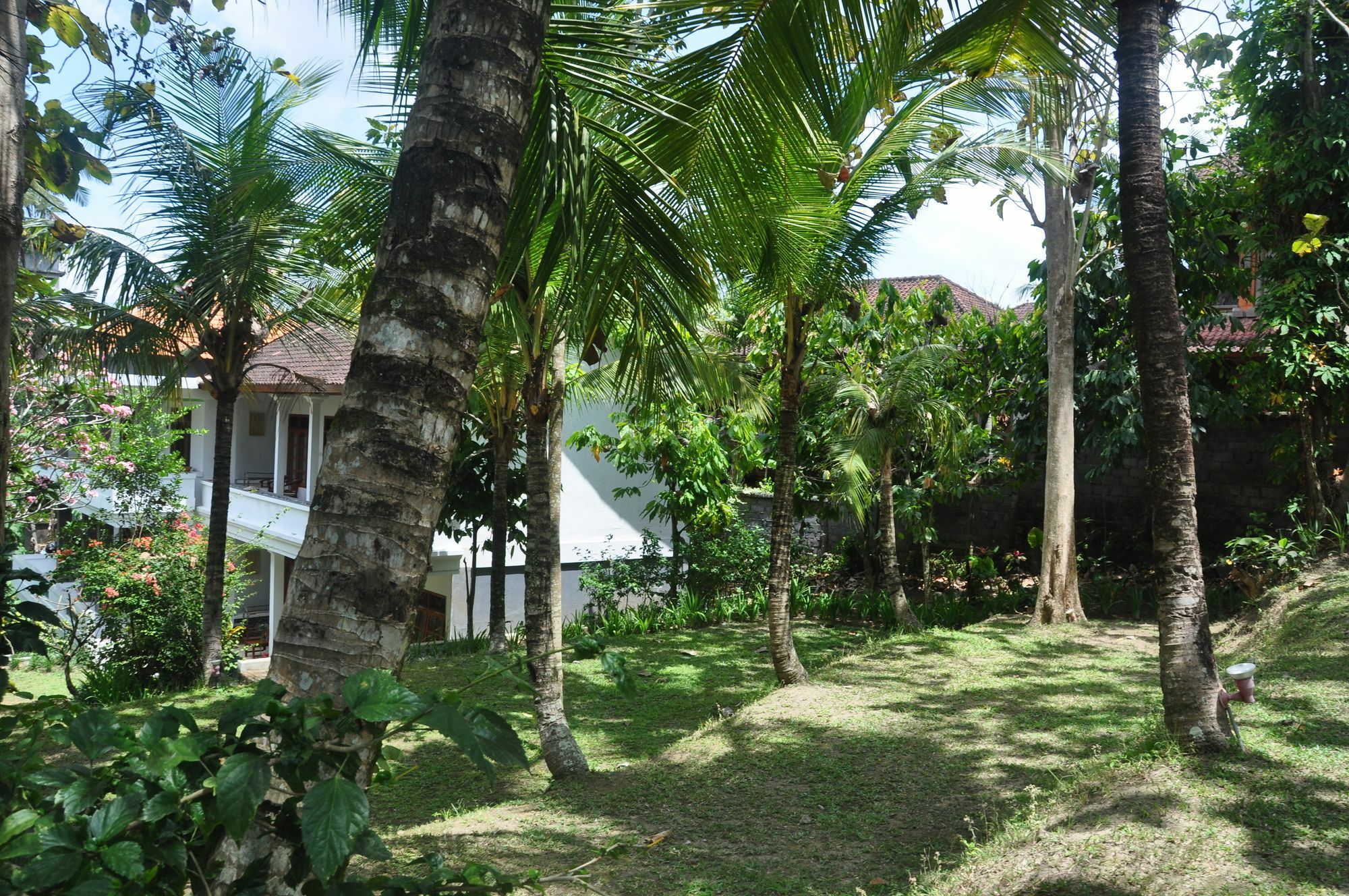 Argasoka Bungalows Ubud Eksteriør billede